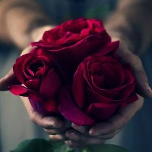 Meet your Posher, Ericka